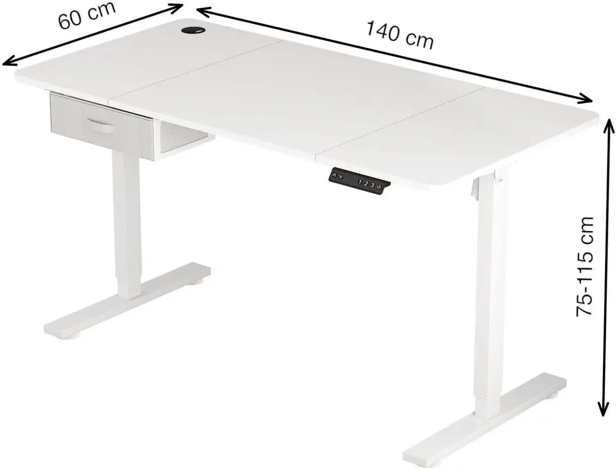 Electric Standing Desk