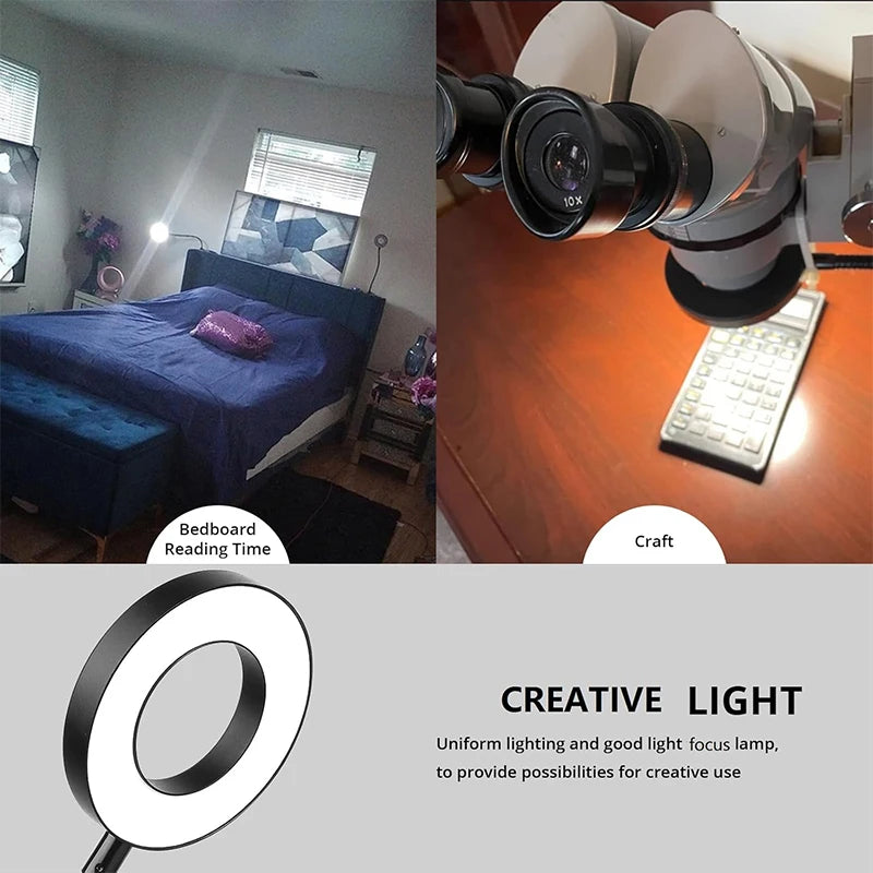 Reading Desk Lamp Bed Dimmable, 3 Modes & 10 Dimming Levels USB Clamp