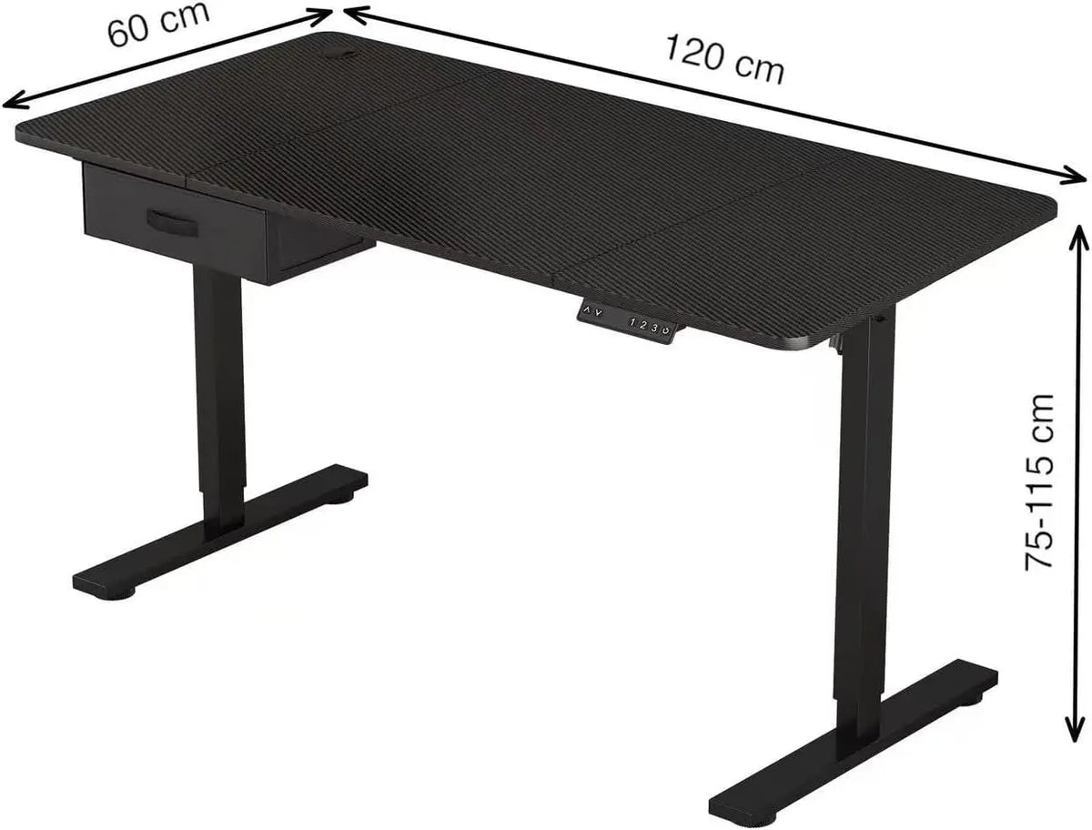 Electric Standing Desk
