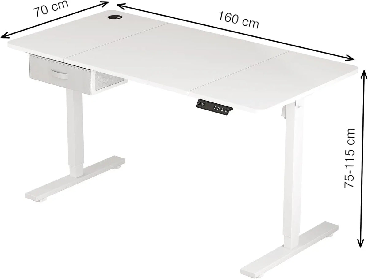 Electric Standing Desk