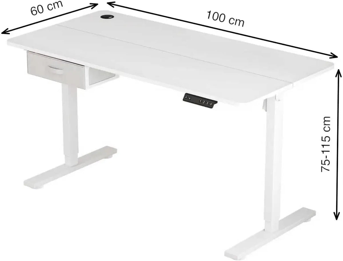 Electric Standing Desk