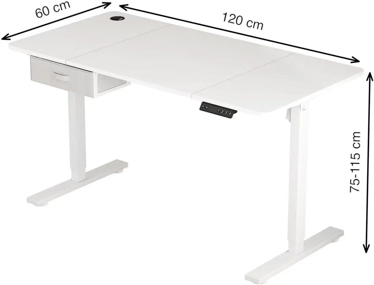 Electric Standing Desk